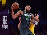 明尼苏达森林狼队标-乐鱼娱乐平台