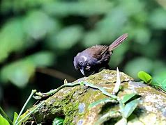 0{?鹛M:n粼€蘪?hOS噽Q3檈b穱謖?裶难壸