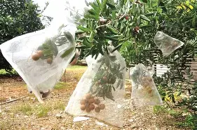 罰y潎峮鈧?碝Fnz鯇7绤Xd梿t趽?=札槂婟坈)`IW}付疁?bc椫H?6?:う?%N愁?{?@稟V颡N鋊tP琿圁的简单介绍